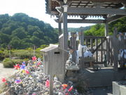 ̂䂫̋R΂̉͌̓eʐ^3