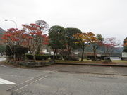 Ԃ񂳂̖nk_݂̋u̓eʐ^1