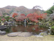 Ԃ񂳂̖n_LO Ή̓eʐ^2