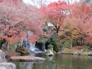 Ԃ񂳂̖n_LO Ή̓eʐ^3