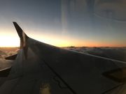 ݂傱̔EΌ`όē̓eʐ^5