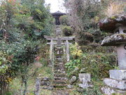 Ԃ񂳂̉Ԗ[P̓̕eʐ^1