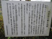 Ԃ񂳂̉Ԗ[P̓̕eʐ^2