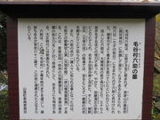 Ԃ񂳂̖ђJZ̓̕eʐ^3