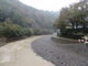 花ちゃんさんの神流川（群馬県上野村）の投稿写真1