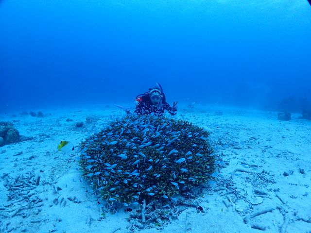 �\���X�Y���_�C�ƁI_R-MATES Okinawa Diving Club