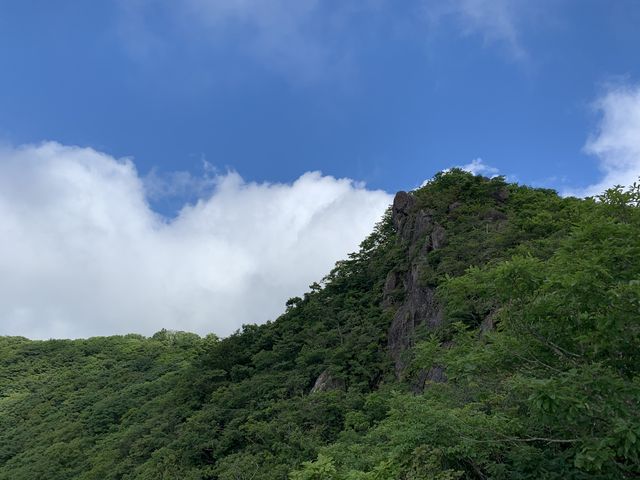 �a�쑤���猩�グ���R�������B_�q���R