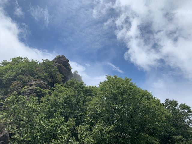 �����̂ł��ς肪���q��B����΂�Ώ�ɗ��Ă܂��B_�q���R