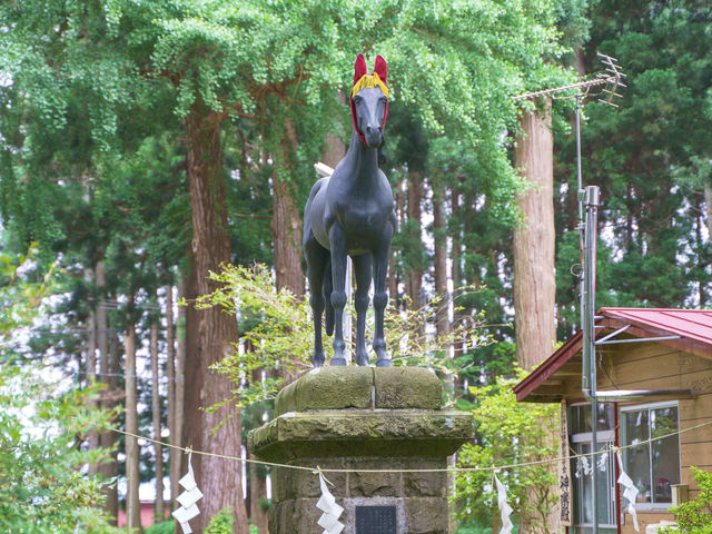 �ނ�������̉ԏ��_�Ђ̓��e�ʐ^1