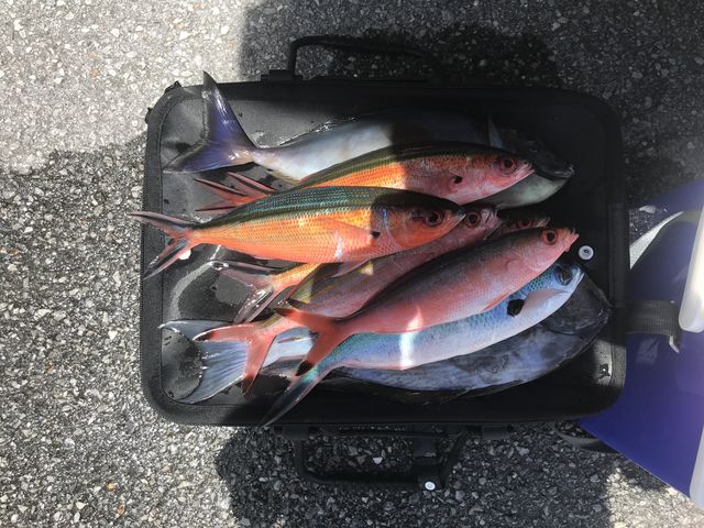 �O���N���ƁH�H�H���ނ�܂����܁I_sea-Walker