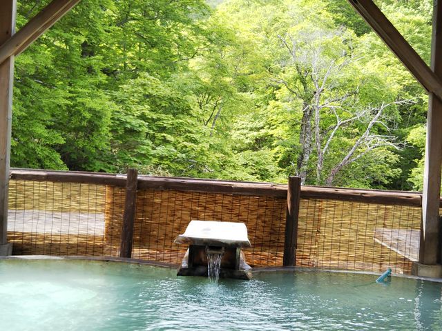 �Ђ傤���񕗘C_���쌳�����ˉ�����