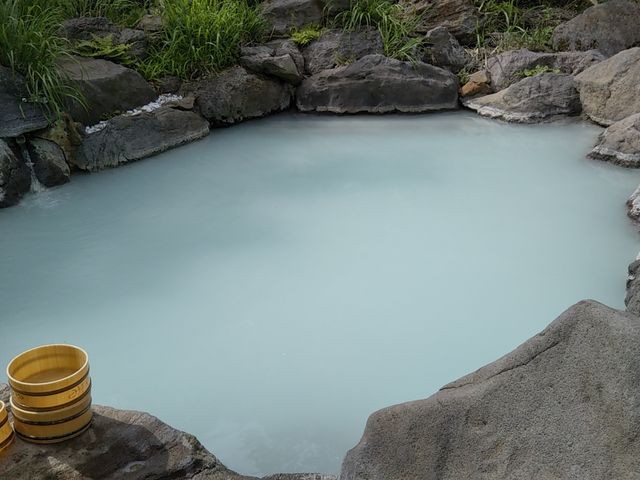 �h�̗��ɂ���I�V���C�ł��B_���쌳�����ˉ�����