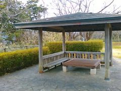 教授さんの匂崎公園の投稿写真5