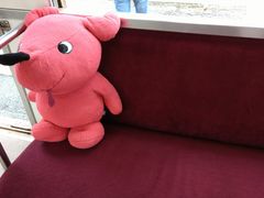 ΂񂳂̒qdCSւ̓eʐ^1