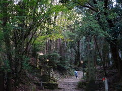 醍醐山の写真一覧 - じゃらんnet