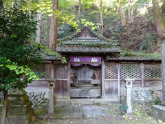 醍醐山の写真一覧 - じゃらんnet