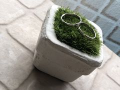 mayuatelier fineւ̓eʐ^1