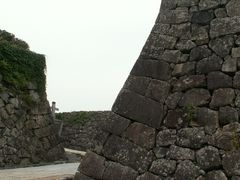 Yanwenliさんの篠山城跡への投稿写真1