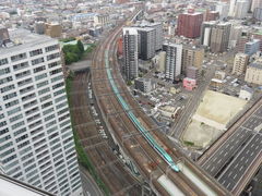 papamamu����̃A�G���W�]�e���X�ւ̓��e�ʐ^1