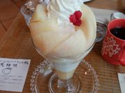 ̃LxEA[[iCampbell Earlyj̓eʐ^1