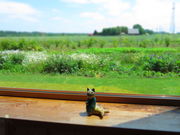 yosshỹt@[Xg쓇񂿂̓eʐ^3