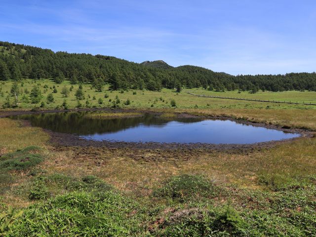 �����ɂ͏����ȋ��r�������A���ʂɎ����̗΂��f���Ă��܂���_�r�̕�����