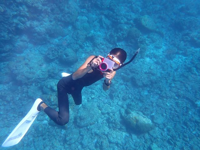 ������ʐ^���B���Ă��������܂����I_BLUE ALOHA�{�Ó�