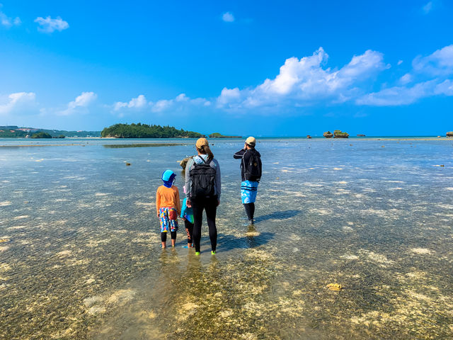 ��i�ł��B
�����������낢��Ȑ��������p�������܂��B_feelokinawa