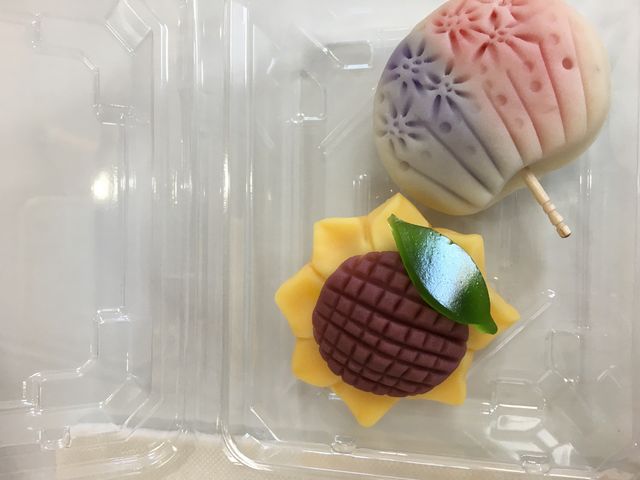 ������̂͌������ƒc��ł���_�a�َq���@���y��