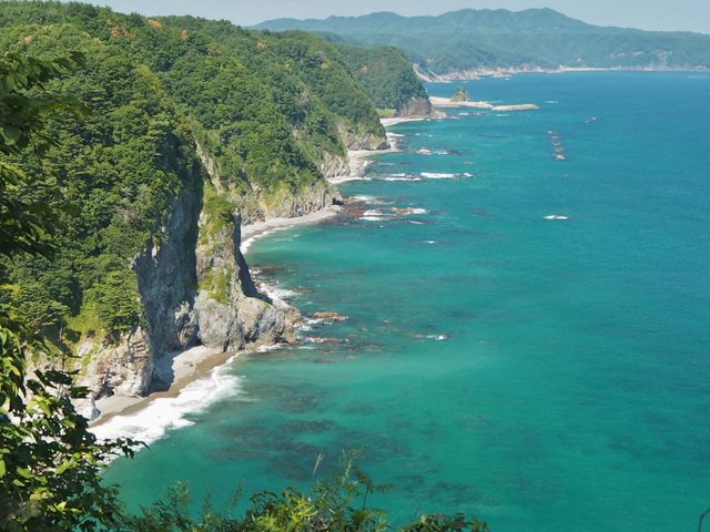 �L�̑��f�R�W�]�䂩��k���ʂ�]�ށB_�L�̑��f�R�W�]��