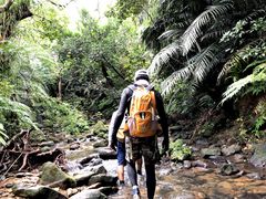 䂩̐\AWcA[KAGUYAւ̓eʐ^1