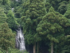 yasu񂳂̍ŏ㋬mԃCόЂւ̓eʐ^2