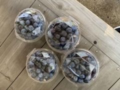 ҂񂮁[ۂ񂳂̂Ԃׂ̎ւ̓eʐ^1