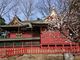 りゅうさんの三芳野神社（お城の天神様）への投稿写真4