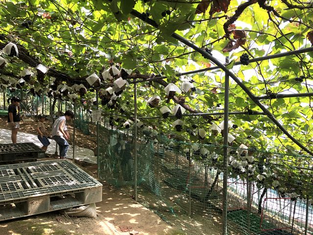 �Ԃǂ��̂��b�Ȃǂ��������񂵂Ă���܂�����_33���E��(�����s�ό��Ԃǂ��Z���^�[�����x��)