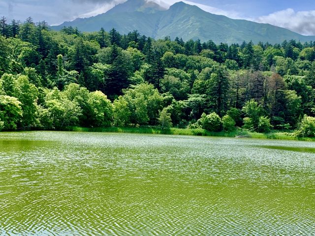 �P���Ɨ��K�R_���K�͂ȃK�C�h�N���u