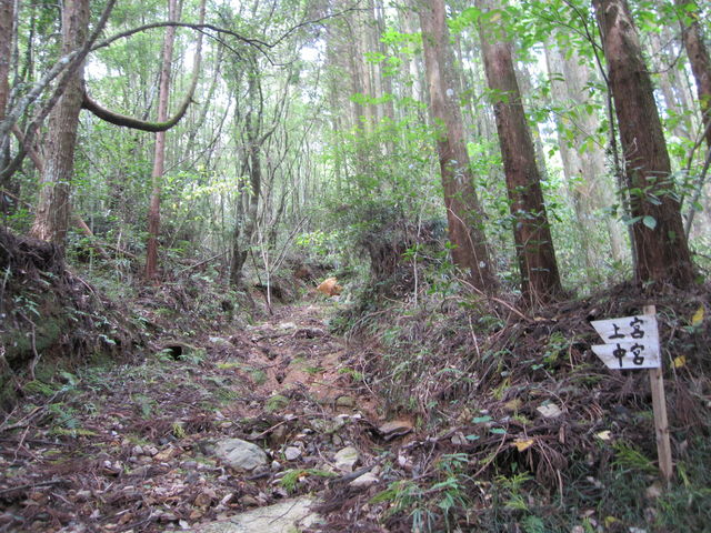 ���{�A��{�ւ̎Q��_�F�ԋ{