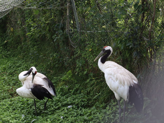 �O���ߎ��R����