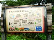 ˂񂳂̏JLOق̓eʐ^6