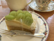 傤܂̃CpCYzeYa yXg[Vbv E[̓eʐ^1