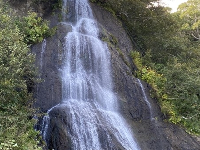 3.�Z�Z�L�̑�F����=30m_�Z�Z�L����