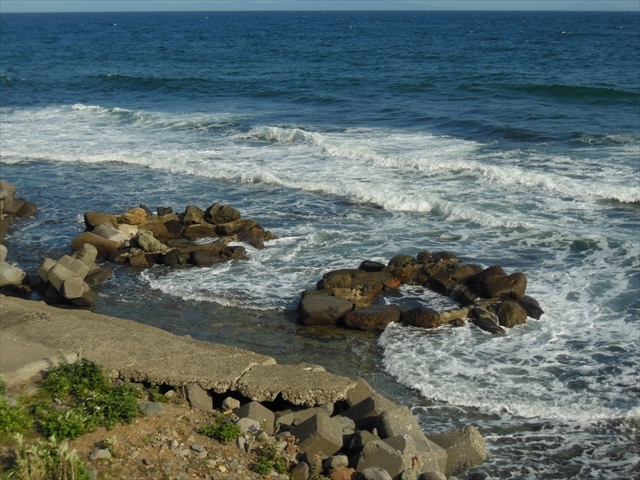 4.�g�Ō����B�ꂷ�鐣�Ή���_�Z�Z�L����