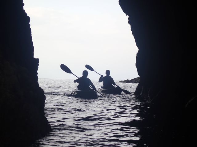 ���A��_���ɓ��E�c�q�J���b�N�Z���^�[SeaFan�`�V�[�t�@���`