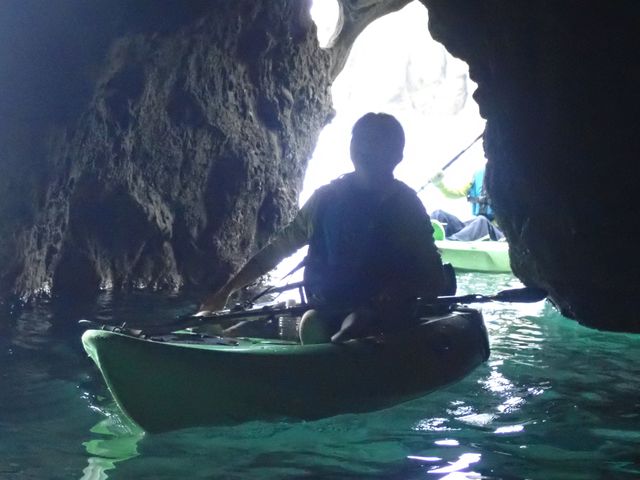 ����_���ɓ��E�c�q�J���b�N�Z���^�[SeaFan�`�V�[�t�@���`