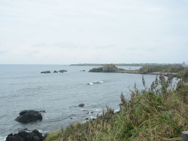 �[���z������A�E����C�݂�]�ށB_�[���z��