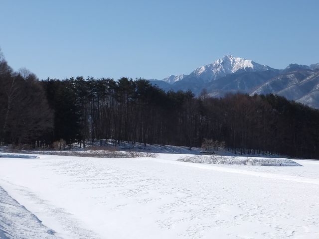 񂳂̋xibxj̓eʐ^1