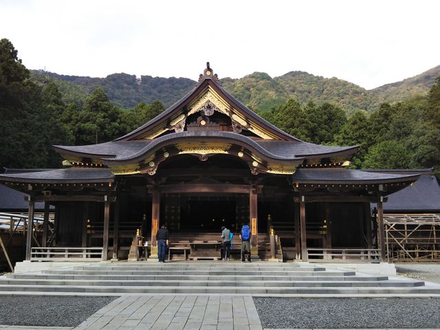 �_�a�̌��ɂ͐F�Â��n�߂���F�R���B_�\�F�_��