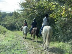 肳Riding Club Jobardߐ{ւ̓eʐ^1