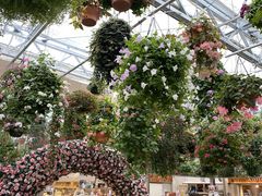 [񂳂̎OXJCEH[Nւ̓eʐ^1