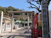 ƂƂʂ܂̔䎡R_Ђ̓eʐ^2